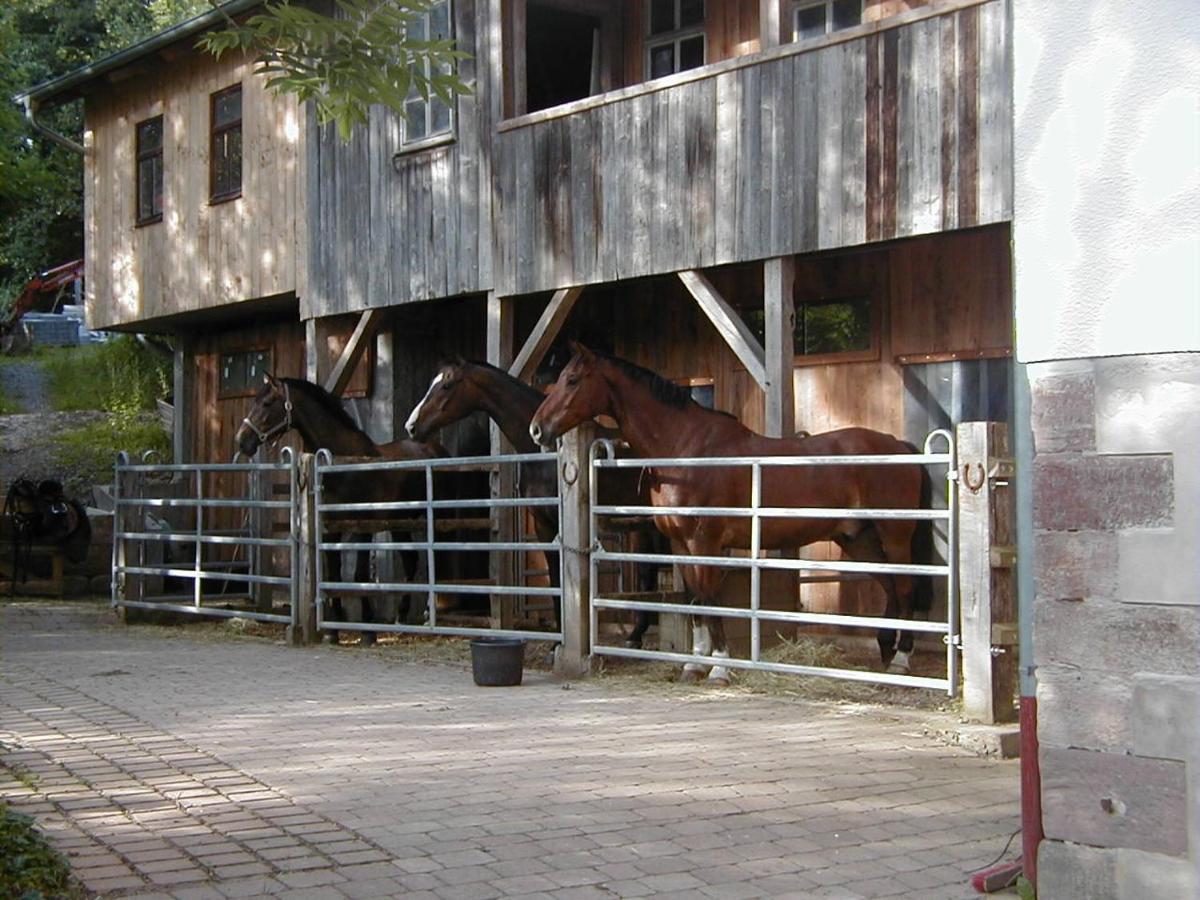 Ferienwohnung In Den Dorfwiesen Gersfeld Eksteriør billede